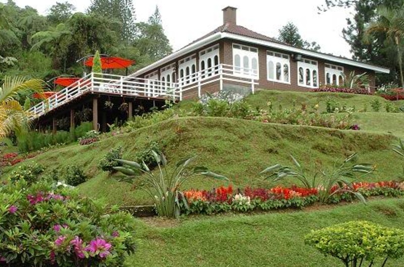 smalcendana